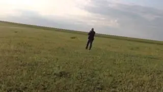 Манки на серого гуся Nordik Greylag, Alex, Greylag Hammer.