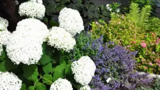 Destination Garden Centre: Greenland Garden Centre
