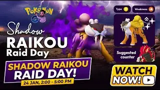 Raid-Tag mit Crypto-Raikou - Pok&eacute;mon GO