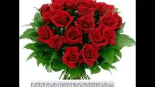 Perla musical pista 3