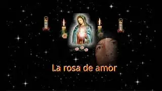 La rosa del amor