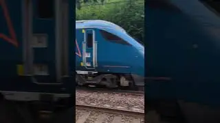 what a lovely horn! #train