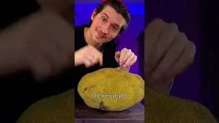 A FRUTA MAIS PERIGOSA DO MUNDO!