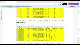 COMO IMPORTAR LAS METAS PRESUPUESTALES AL APLICATIVO CEADMIN