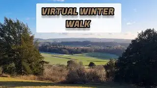 Virtual winter walk | Virtual walk | relaxing | asmr | footsteps | birdsong | slowtv | background 