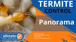 Termite Control Panorama