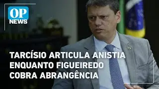 Tarc&iacute;sio articula anistia enquanto Figueiredo cobra abrang&ecirc;ncia | O POVO News