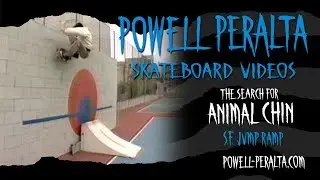 THE SEARCH FOR ANIMAL CHIN CH. 3 SF JUMP RAMPS