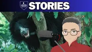 VTuber Professor REACTS | 🦄 Rating Bears with Casual Geographic