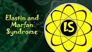 Elastin and Marfan syndrome
