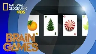 How Smells Affect Your Memory 👃 | Brain Games