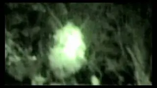 Desmaterializa&ccedil;&atilde;o  -  IDIBEL - Dakila Ecossistemas