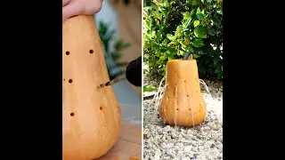 Simple and effective gardening hacks 🧑&zwj;🌾 #shorts #planting #garden #diy