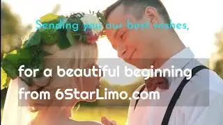 Tony and Tina's Wedding, 6 Star Limo - (224) 302-6202