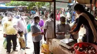 AP: As prices skyrocket, AP govt sells subsidised onion for Rs 40 per kg