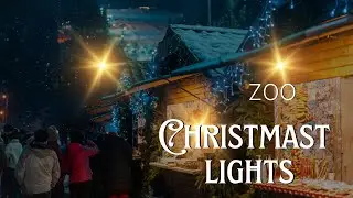 Christmas Lights at the National Zoo, Washington, DC