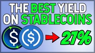 Where is The BEST Yield for your STABLECOINS?