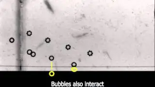 The ultrasonic dance of bubbles