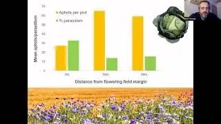 Boosting beneficial insects on farm with an IPM approach