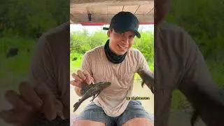 Hoy les preparo un sabroso &ldquo;CHILICANO DE CARACHAMA&rdquo; 💚 | El Shamuco