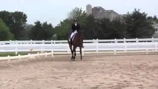 Fields and Fences Dressage