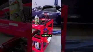 The Purple Unicorn | Ev's Republic