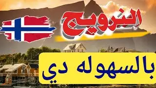 😱تأشيرة النرويج السياحية! القبول بقى أسهل من أى وقت
