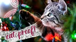 How to Keep Cats OUT of Christmas Trees. Cat Proof your Christmas Tree!