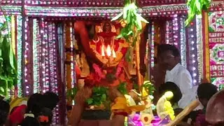 டாணா காளியம்மன் கோவில் மதியக்கொடை - விக்கிரமசிங்கபுரம் | பாபநாசம்