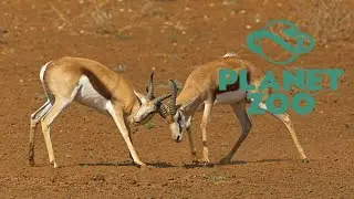 Springbok Habitat Speed build: Planet Zoo