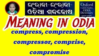 compress, compression, compressor, comprise, compromise Meaning In Odia | Class 11th English In Odia