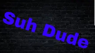 Suh Dude