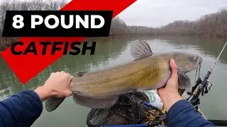 PB Catfish - Williamsport Lake