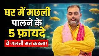 घर में मछली पालने के 5 फ़ायदे | Benefits of Fish Aquarium in Home