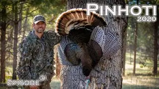 MOUNTAIN MERRIAM'S TURKEY HUNTING | NATIONAL FOREST GOBBLERS | PUBLIC LAND- Pinhoti 2020