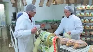 Volailles : Les professionnels tournent à plein regime