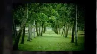 Tagum City (Tourist Attractions)