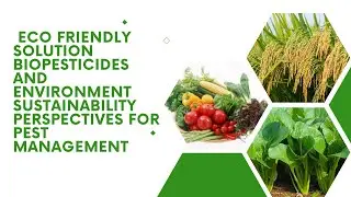 Eco Friendly Solution Biopesticides and Environment Sustainability Perspectives for Pest Management