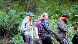Madeira Island Nature Levada Walk