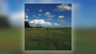 04 Biosphere - Strigiformes [Biophon Records (Norway)]