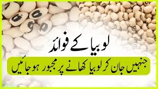 9 Amazing Health Benefits of Black-Eyed Peas | Lobia ke fayde in Urdu\Hindi | ilmgoram