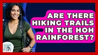 Are There Hiking Trails In The Hoh Rainforest? - Chasing Big Fish