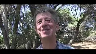 Chaplains Dave and Cindy on Healings