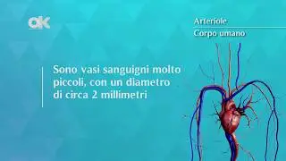 Arteriole