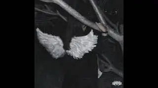 zxdlord - AIIOVER