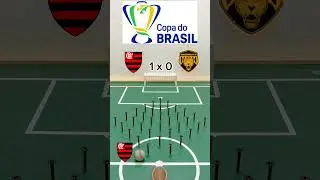 Flamengo x Amazonas FC