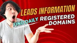 How To Find Daily Registered Domains With Leads Generation Information