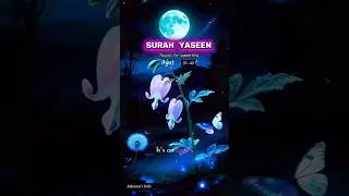 The Order of Day and Night | Quran Translation | Surah Yaseen
