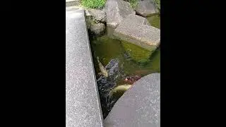 都立横網町公園