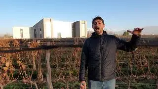 Vina Cobos   Taste Argentina